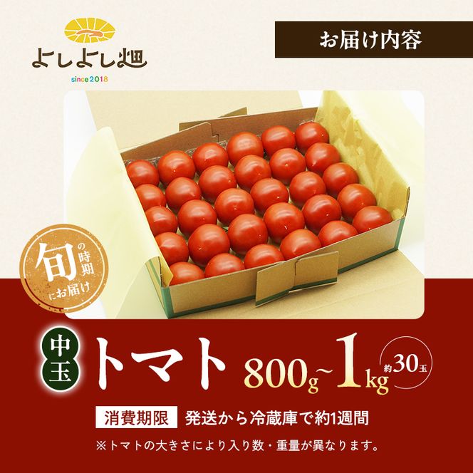 【最旬お届け!!】よしよし畑のあま～い トマト ( 中玉トマト ) 800g ～ 1kg 程度 新鮮 産地直送 冷蔵 とまと おいしい おすすめ ギフト お取り寄せ
