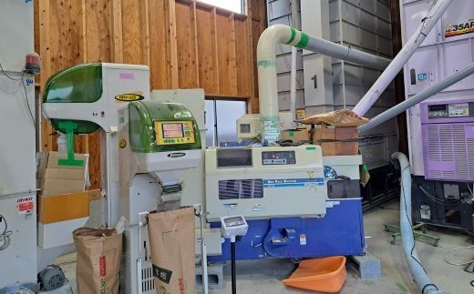 玄米 常総市産 にじのきらめき5kg