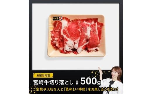 宮崎 牛切り落とし 500g【 肉 牛肉 国産 宮崎県産 黒毛和牛 和牛 切り落とし 】[D11418]