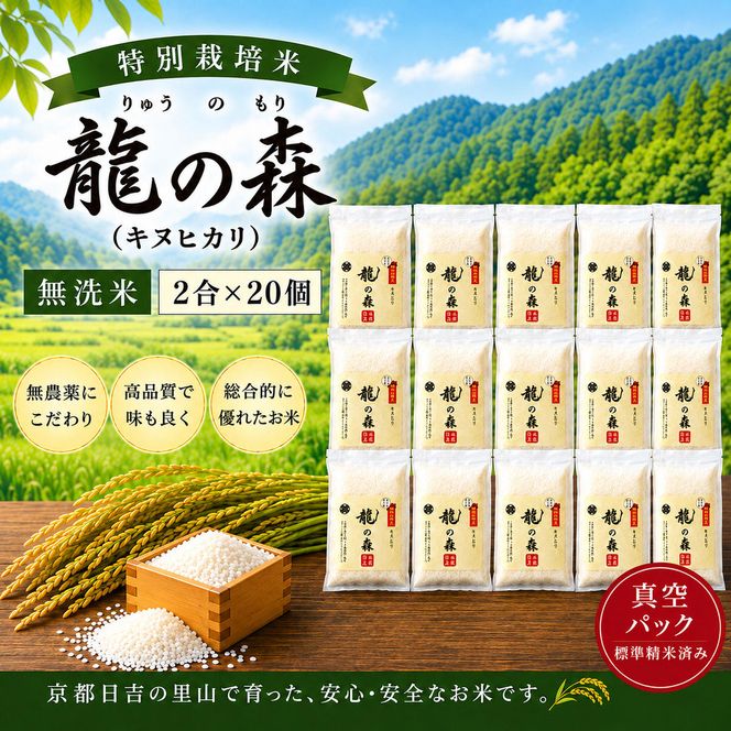 特別栽培米 「 龍の森 」( キヌヒカリ )　300g×20パック お米 きぬひかり 無洗米 真空パックでお届け 米 コメ 精米 無洗米 白米 ごはん 白飯 京都府 南丹市