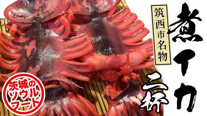 y錧}sz}s σCJitj  }  \Et[h nO  CN  Ⓚ mBW089cin