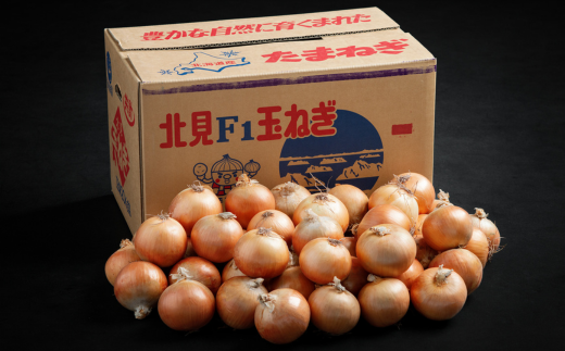 令和7年産 先行予約】玉ねぎLサイズ・20kg（2025年11月より順次
