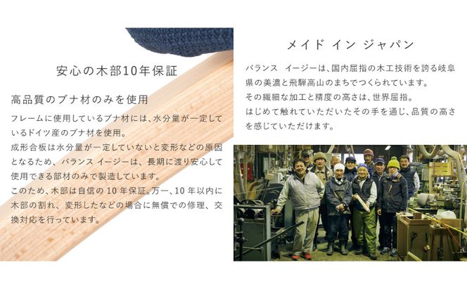 椅子 バランスイージー カバーなし イージーライティングボード M セット 選べる フレーム カラー