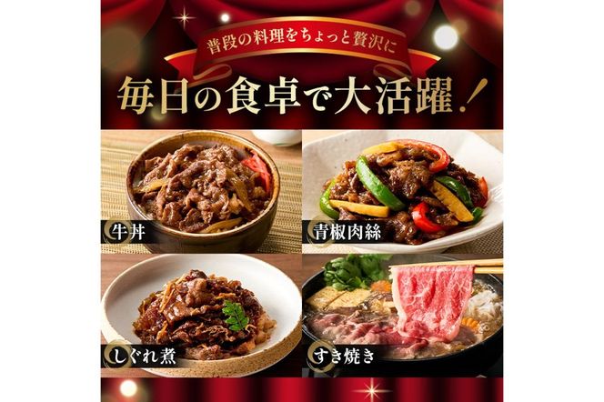 飛騨牛切り落とし1Kg（250ｇ×4）【0016-019】