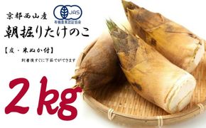 ＜先行予約＞【皮付き京都西山産】 朝掘りたけのこ ２kg（米ぬか付）【アドプランツコーポレーション】 261009_B-BB09