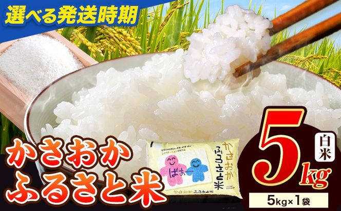 【令和8年6月発送】【先行予約】米 令和7年産 5kg 予約 ふるさと米 備中笠岡 人気品種をお届け！ 国産 ヒノヒカリ にこまる きぬむすめ お米 ブランド米 おにぎり 弁当 単一原料米 お取り寄せ 送料無料 岡山県産---R7-5k-R0806-11500---