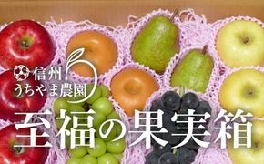 【秋に届く】至福の果実箱B (3～6種類) (500g以上のシャインマスカット1房が必ず入ります) 《信州うちやま農園》■2025年発送■※10月上旬頃～11月中旬頃まで順次発送予定