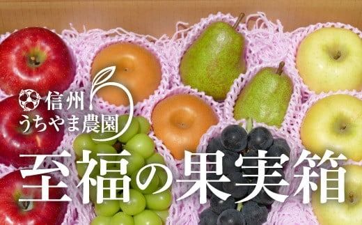 【秋に届く】至福の果実箱B (3～6種類) (500g以上のシャインマスカット1房が必ず入ります) 《信州うちやま農園》■2025年発送■※10月上旬頃～11月中旬頃まで順次発送予定