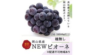 ぶどう 2026年 先行予約 ニューピオーネ 2房(1房480g以上) 化粧箱入り ブドウ 葡萄 岡山県産 国産 フルーツ 果物 ギフト[№5735-3268]