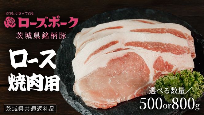 y錧΂݂炢sz_ Iׂe ^y [Y|[N z ؃[Xēp 500g / 800g (錧ʕԗi)   ؓ Y Y  uh ؃[X ē BBQ Ⓚ