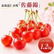 2027年発送 北海道 仁木町産 さくらんぼ 佐藤錦 1.2kg (300g×4パック) Lサイズ以上  旬 桜桃 産地直送 サクランボ チェリー フルーツ 果物 果物類 仁木町 仁木 [松山商店]