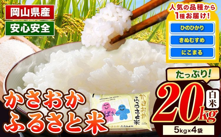 [令和7年11月発送][先行予約]米 令和7年産 20kg 予約 ふるさと米 備中笠岡 人気品種をお届け! 国産 ヒノヒカリ にこまる きぬむすめ お米 ブランド米 おにぎり 弁当 単一原料米 お取り寄せ 送料無料 岡山県産---R7-20k-R0711-48000---