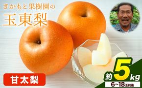 さかもと果樹園の玉東梨 甘太梨 約5kg (6玉-18玉前後) 《9月中旬-10月上旬頃出荷》【日付指定不可】 熊本県玉名郡玉東町 梨 なし 果物 フルーツ 甘太---gkt_skm_10_5kg---