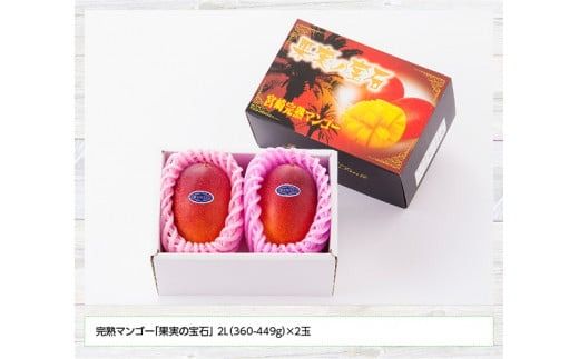 【令和8年発送】宮崎県産完熟マンゴー「果実の宝石」　2L×2玉 【 果物 フルーツ マンゴー 宮崎県産 みやざきマンゴー 先行予約 数量限定 期間限定 】[C03702]