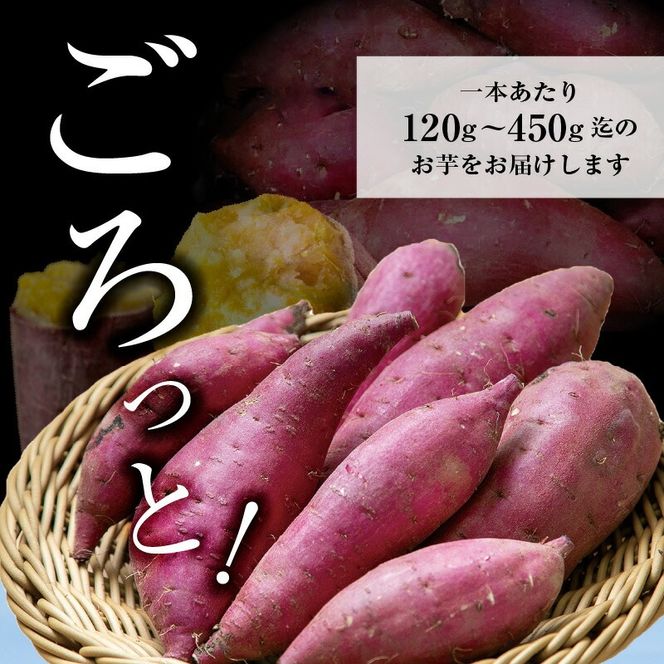 さつまいも 紅はるか 5kg　N063-YA3385