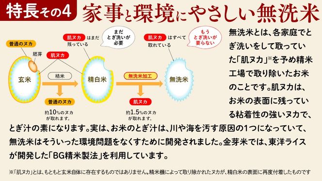 ＼ 選べる配送時期 ／【 金芽米 ( 無洗米 ) 】つくばみらい市産 コシヒカリ 5kg × 2袋 ( 計 10kg ) きんめまい 米 お米 無洗米 茨城県 カロリーオフ 低カロリー 東洋ライス 節水 時短 アウトドア キャンプ [EK01-NT00]