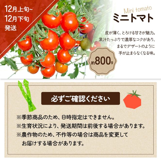 「生活応援企画！」旬のさぬきの野菜定期便（5回） 野菜 定期便 旬 新鮮 食べごろ 季節 ブロッコリー アスパラ アスパラガス 春芽 夏芽 ホワイトコーン  ミニトマト 香川県 東かがわ市