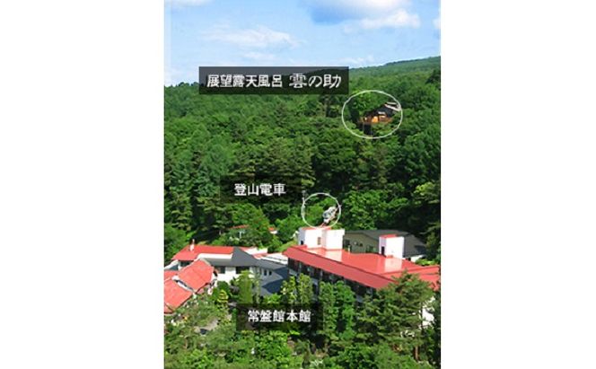 常盤館 展望露天風呂 入浴券5枚 チケット 温泉利用券 