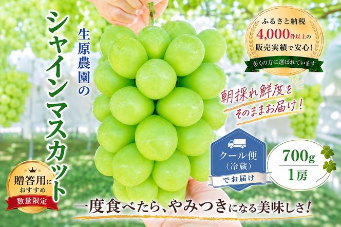 【2026年発送★先行予約】 フルーツ王国笛吹市の【プレミアム大房】シャインマスカット1房700g以上 137-002-26y