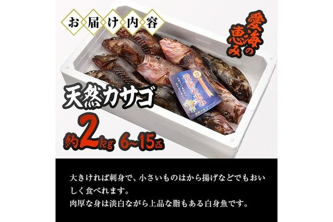 天然 カサゴ (約2kg・計6-15匹) 直送 産直 漁師 魚 鮮魚 天然 カサゴ 白身魚 獲れたて 刺身 煮つけ フライ 唐揚げ 塩焼き 冷蔵 豊後水道 鮮魚 大分県 佐伯市【CS15】【 (有)丸昌水産】