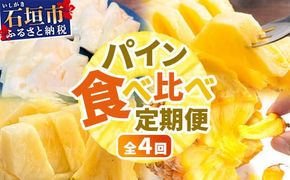 【マツコの知らない世界で絶賛！】《2026年4月～7月順次発送》【先行予約】パイナップル好きにおすすめ！満足のパイナップル4品種定期便【 沖縄 石垣 ピーチ ホワイトココ ジュワリー スナック パイン パイナップル 完熟 セット フルーツ デザート 食べ比べ 定期便 TV テレビ 紹介 マツコ 】 TF-37_R8
