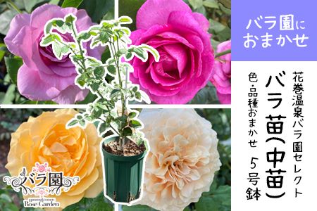 y茧ԊszԊoňuocv5TCY -ɂ܂- y1856z