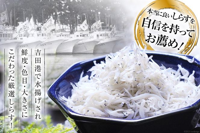 6回 定期便 駿河湾産 しらす干し 100g×1 釜上げしらす 120g×2 計3パック [マルあ水産 静岡県 吉田町 22424641] 魚 海鮮 しらす 白子 シラス 天日 じゃこ 小分け おじゃこ しらす干し