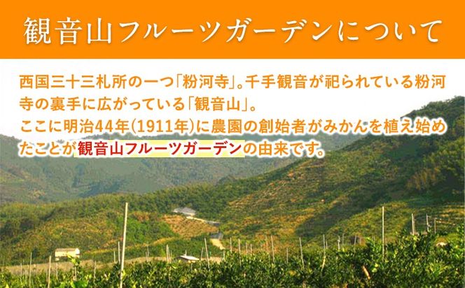 観音山ジェリー 「なちゅるん」詰合せセット 150g入 3種各4袋 みかん はっさく はちみつレモン 有限会社柑香園 《30日以内に出荷予定(土日祝除く)》 和歌山県 紀の川市 フルーツ 果物 柑橘 添加物不使用 ゼリー 送料無料---wsk_kcenjwns_30d_22_19000_12p---