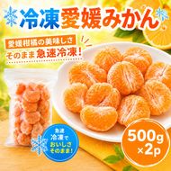 冷凍愛媛みかん 500g×2袋 冷凍みかん みかん ミカン 愛媛みかん 蜜柑 柑橘 かんきつ 冷凍ミカン 冷凍柑橘 アイス スムージー シャーベット みかん職人武田屋 愛媛県 愛南町