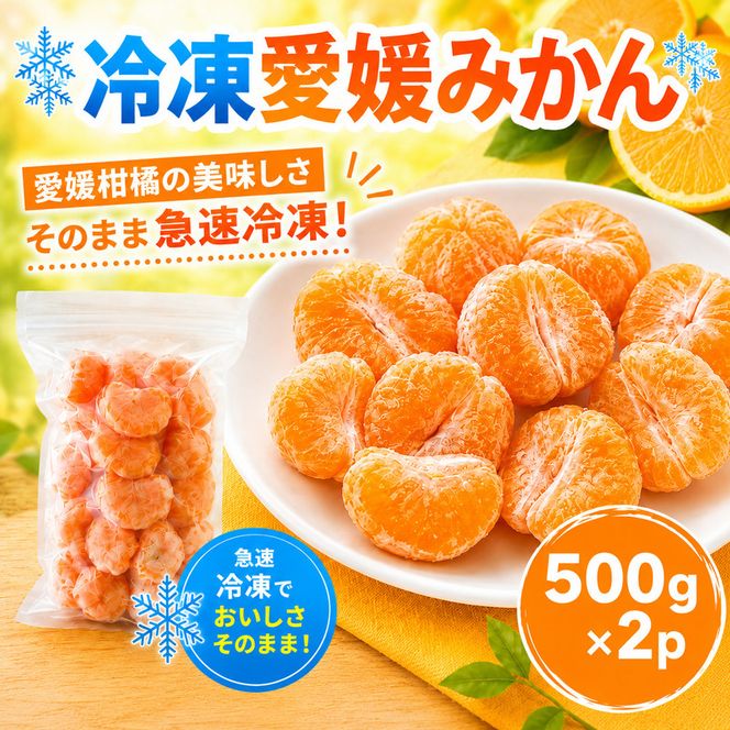 冷凍愛媛みかん 500g×2袋 冷凍みかん みかん ミカン 愛媛みかん 蜜柑 柑橘 かんきつ 冷凍ミカン 冷凍柑橘 アイス スムージー シャーベット みかん職人武田屋 愛媛県 愛南町
