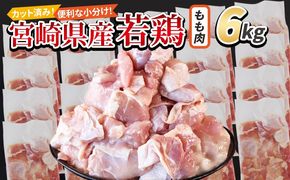 ＜宮崎県産若鶏切身 もも肉 6kg（300g×20袋）＞翌々月までに順次出荷 【 からあげ 唐揚げ カレー シチュー BBQ 煮物 チキン南蛮 小分け おかず おつまみ お弁当 惣菜 時短 炒め物 簡単料理 】【b0795_it_x2】