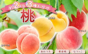 桃 約2kg 3種お任せ あかつき なつっこ 黄金桃 果物 もも 3種類 白桃 黄桃 産地直送 長野県 小諸市