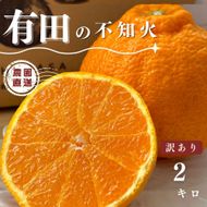 【ふるさと納税】【先行予約】 不知火 2kg 訳あり サイズ混合 柑橘 フルーツ  産地直送 お取り寄せ 送料無料 FA12