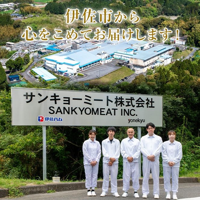 yɍszisa696 yɍ̓zјa؂藎Ƃ (v2.4kgE300g×8P) Y ^ ^pbN t@Xi[  ؗƂ    AEghA BBQ Ⓚ yTL[~[gЁz