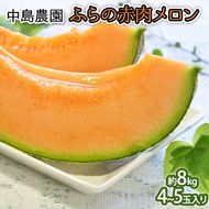 【2026年7月～発送】北海道 富良野市 ふらの赤肉 メロン 4～5玉入り 計 約8kg (中島農園) メロン フルーツ 果物 新鮮 甘い 贈り物 ギフト 道産 ジューシー おやつ ふらの ブランド 夏 