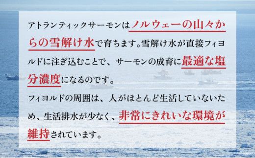 とろとろサーモン地獄漬100g×3個 サーモン アトランティックサーモン 鮭 シャケ 海鮮キムチ キムチ ヤンニョムジャン 冷凍 ふるさと納税 北海道 登別市