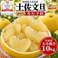 土佐文旦 大小混合 10kg 家庭用 大玉と小玉の詰め合わせ 日本ギフト大賞受賞 文旦発祥の地 園主こだわり 食べ比べ 高知県土佐市産 高知県産 国産 10キロ ぶんたん ブンタン みかん 柑橘類 高級フルーツ 果物 産地直送 お取り寄せ ギフト 季節限定 先行予約 やの一果彩[BQAC015]