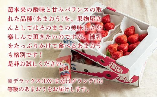 福岡産あまおう４パック＆練乳 先行予約※2024年11月下旬～2025年4月上旬にかけて順次発送予定　AX018