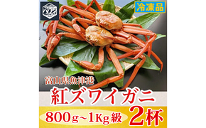 【冷凍】自社漁船直送！魚卸問屋の紅ズワイガニ 800g～1kg級×2ハイセット｜かに カニ 蟹 国産ずわい蟹 ずわいガニ 紅ズワイ蟹 紅ずわいがに 紅ずわい蟹 ボイル セットかにしゃぶ 魚貝類 魚介類 海鮮 鮮魚 新鮮 蟹飯 人気 豪華 ご褒美 贅沢 お取り寄せ グルメ カニ味噌 ※2026年9月～発送