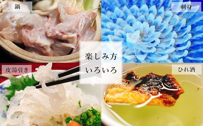 【3ヶ月定期便】国産養殖！とらふぐ簡単調理で味わえるセット 吉宝ふぐ 1.3kg×3回 ふぐ 河豚 フグ とらふぐ トラフグ 鍋 ふぐ鍋 熊本県 上天草市【2025年10月下旬～2026年4月上旬発送予定】