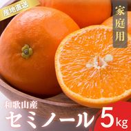 【先行予約】家庭用 訳あり セミノール 和歌山 有田 S～4Lサイズ混合 5kg【4月下旬～5月下旬頃に順次発送】/ みかん フルーツ 果物 くだもの 蜜柑 柑橘【ktn017A】