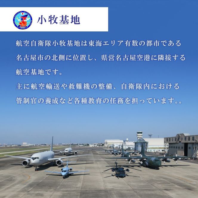 小牧基地 空自空上げ「甘辛スパイシー米粉空上げ」[003D15]