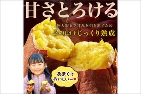 【日本一ダブル受賞セット】紅はるか、ふくむらさきセット計約10kg　TF00064