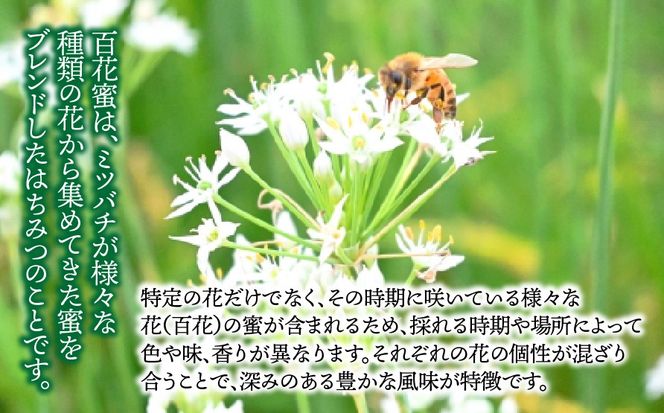 y򕌌䒬zAG-1a yYzI1200g