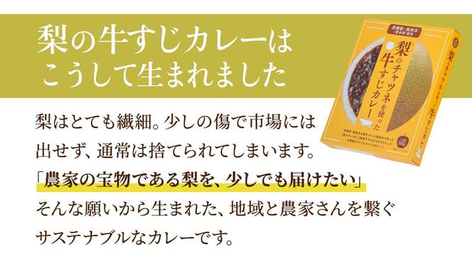 梨 の チャツネ（ペースト） を使った 牛すじ カレー 5個 セット レトルト 常温保存 備蓄 非常食 牛すじカレー コク 旨味 中辛 オリジナル グッズ 筑西市 限定 梨 なしカレー [DS003ci]