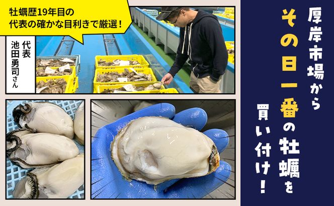 【 6ヵ月 定期便 】 北海道 厚岸産 ちょびっと 牡蠣 むいちゃいました！ ( 生食用 ) 300g カキ むき身 