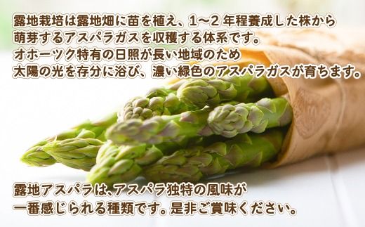 [先行受付]2025年産 露地アスパラ 2Lサイズ 約1kg【配送不可地域：離島】 BHRG015