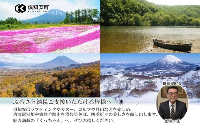 【 2026年 出荷 】 北海道 倶知安町産 長芋 2L×約6本 計5kg 秋堀り 芋 ながいも とろろ 新鮮 フレッシュ 野菜 農作物 産直 山芋 麦とろ 山かけ おつまみ グリーンアースファーム 送料無料 北海道 倶知安町 新鮮野菜 