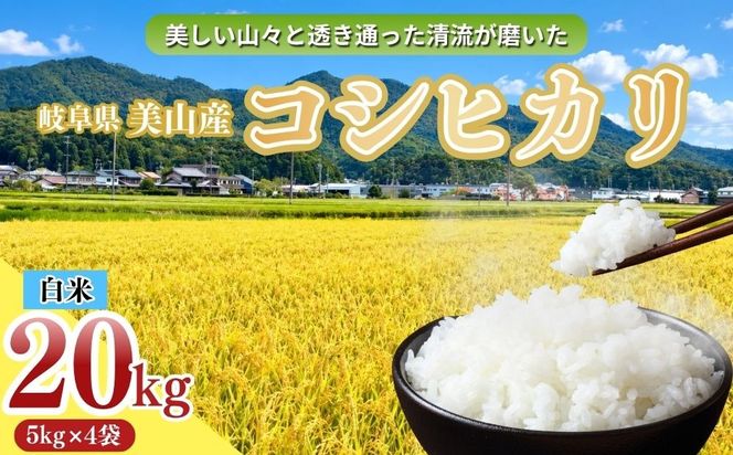 岐阜県美山産コシヒカリ 令和8年産 新米 20kg| 令和8年 米 精米 白米 お米 コシヒカリ こしひかり ツヤ 粘り 甘み ヤマガタ農産 ※2026年11月～発送