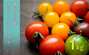 カラフル ミニトマト セット 1kg ≪北海道南富良野産≫ 北海道 南富良野町 2026年発送 先行予約 トマト 詰合せ ミックス ミックストマト